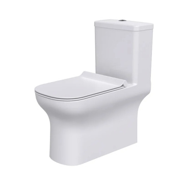 Напольный безободковый унитаз моноблок Comforty CF3C6328P